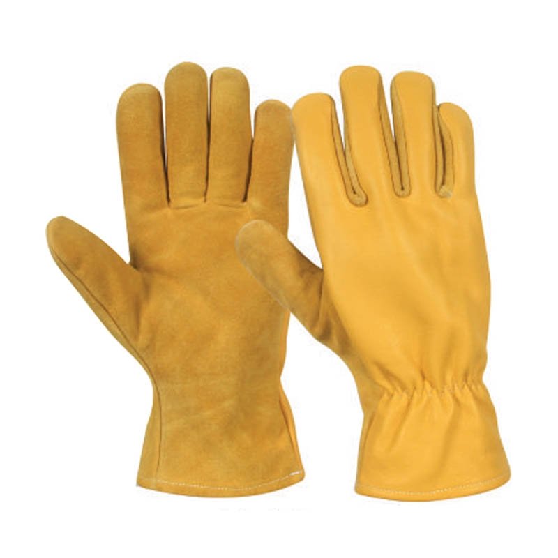 Driving Gloves